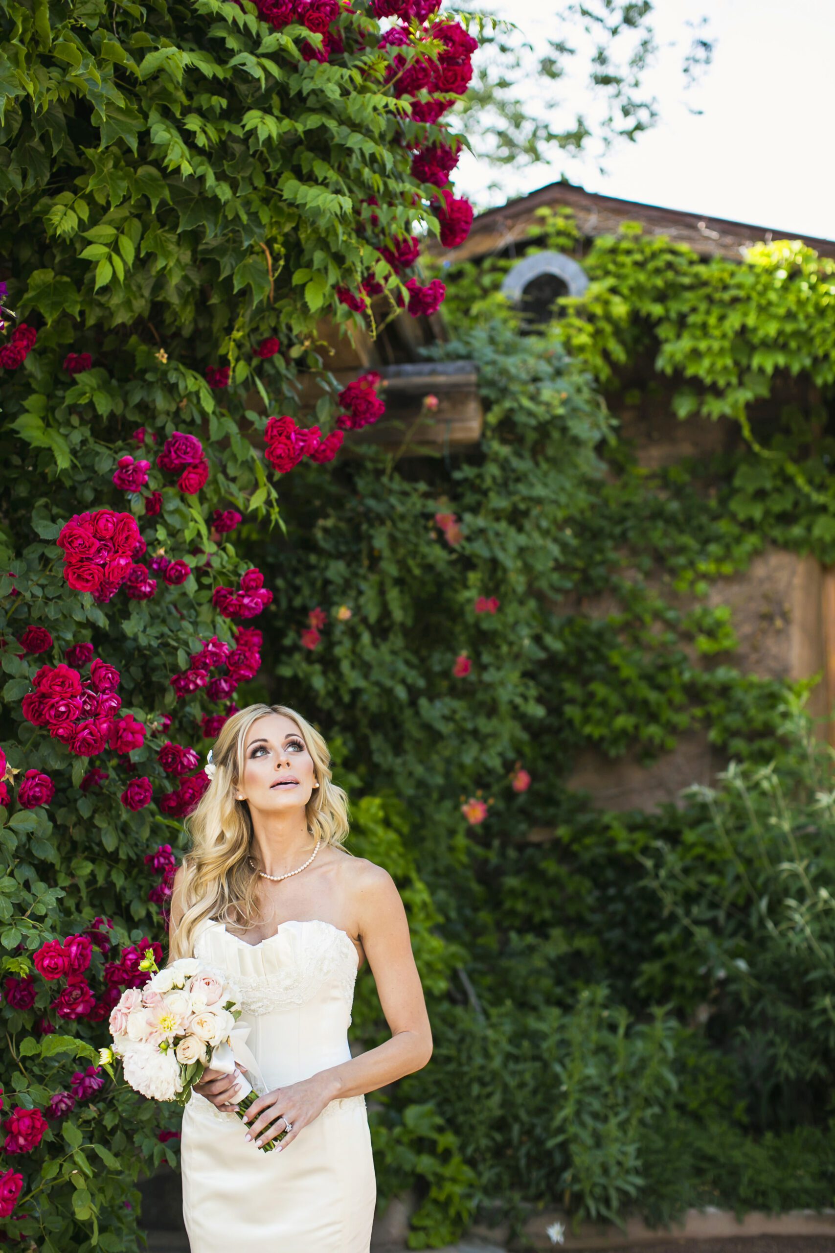 Bride looks up towards the sky in front of roses growing on a wall at El Portal.