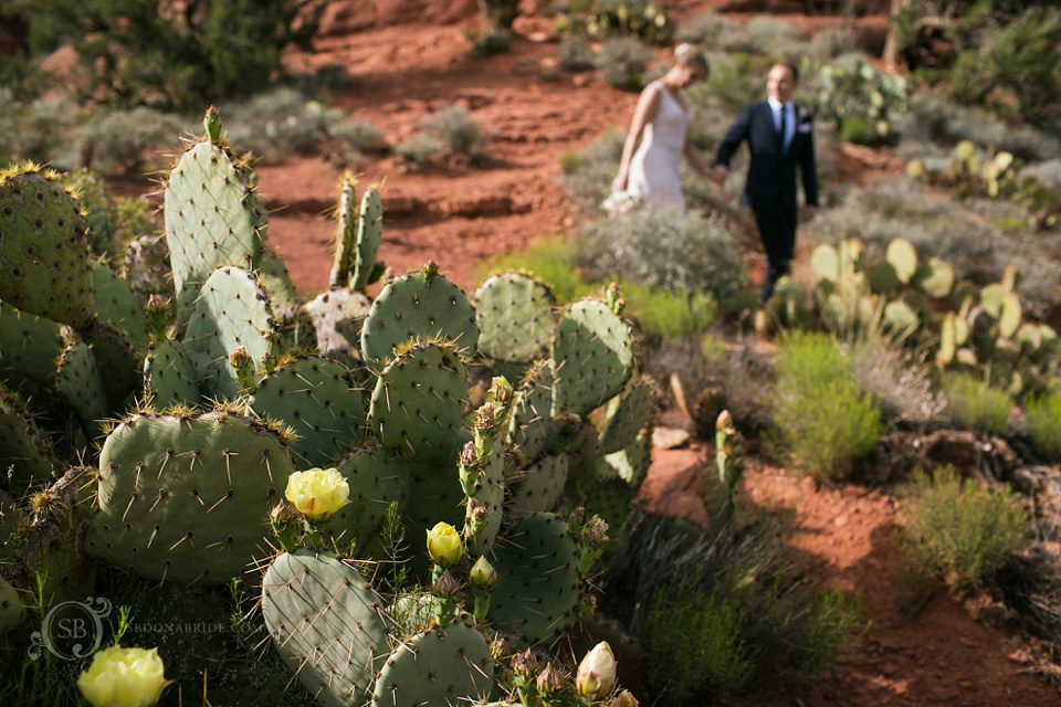 cactus and a Sedona wedding 