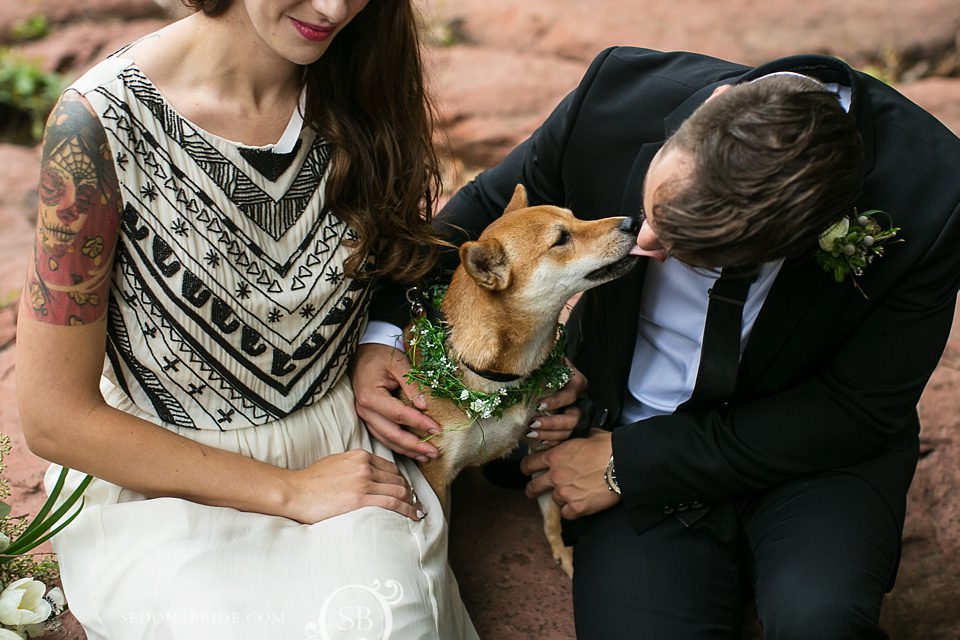 dogs at weddings in Sedona