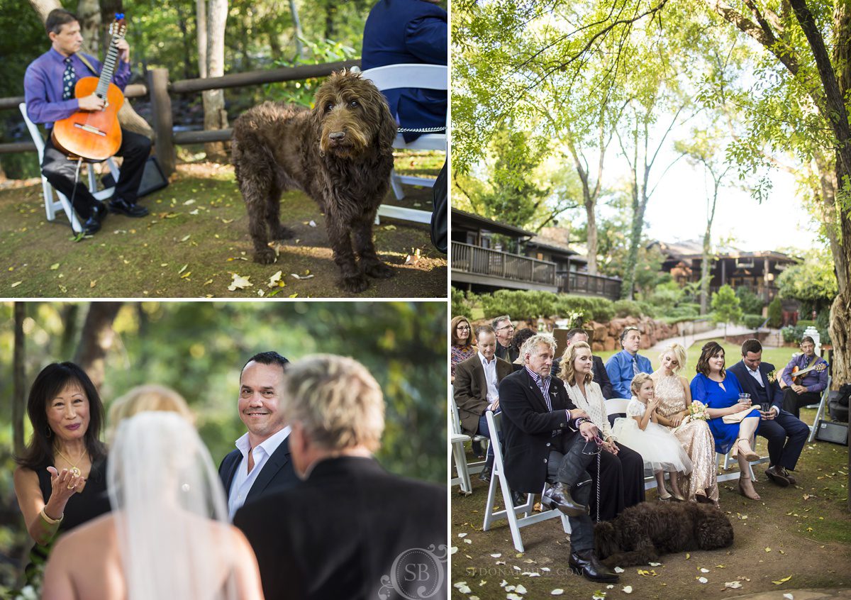 pet friendly wedding at L'Auberge