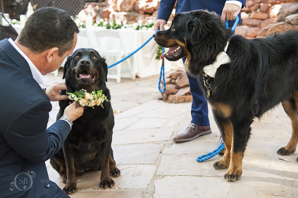 pet friendly wedding at L'Auberge