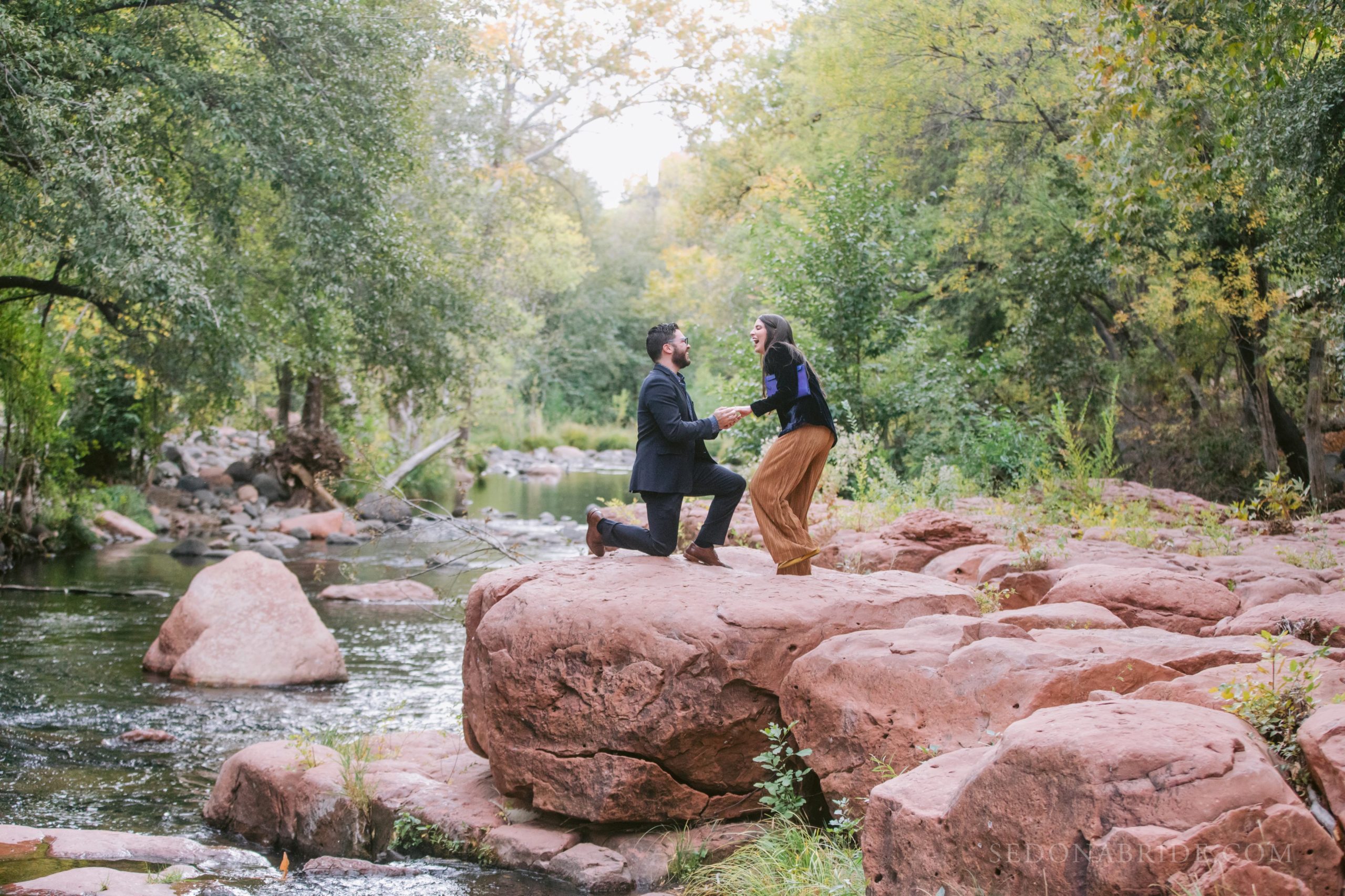 L'Auberge surprise proposal